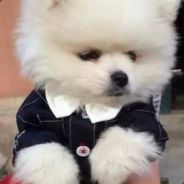 <font color="#00FF00">BigBang</>