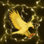 Instinct 77