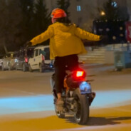 bağırsaksız