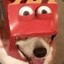 mcdog