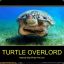 TurtleOverlord
