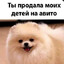 ПОРОДА ШПРИТЦ
