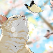 她说我不如双汇