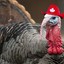 Turkey