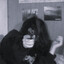 decek