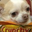 Crunchy