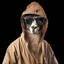IW LLama_KF