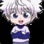 Killua Zoldyck    &quot;Pro Hunter&quot;