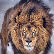 not vac ( 5 weeks for grefing