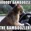 The Bamboozler