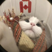 Big Avatar