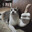Gato Joião
