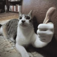 Gato Joião