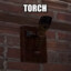 TORCH