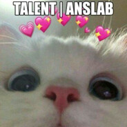 cs2land.net TALENT | AnsLAB