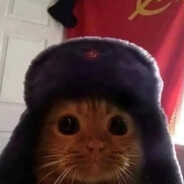 ASD | кот комунист