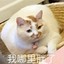 你要吃橘子嗷