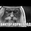 ЯНА САЛЯХ