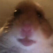 Johnny Hamcheck (In Theory)