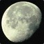 Moonlight