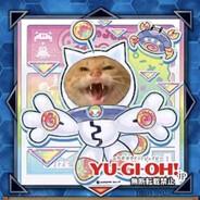 美味哈基米天下无敌