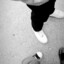TE VI EL POTO, CORRE AMOR