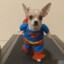 superdog