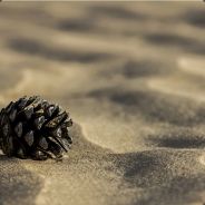 Bahimut - steam id 76561197961163440