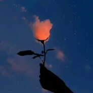 樱花不会在九月落下