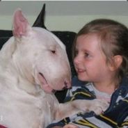 我是菜鸟，不要杀我啊~~~