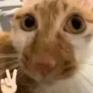 她说戴了不算给