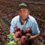 Beets by Dr. Dre