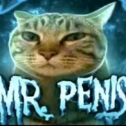 Mr.Penis