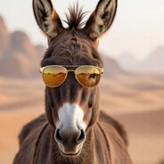El Shaikh Phuck-FOHOCK-