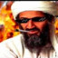 HabibiEbacha