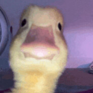 Ducksike