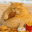 fat cat