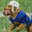 Air Bud Golden Receiver