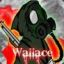 Wallace 505