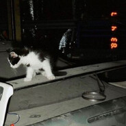 ็็็็็็็็็็