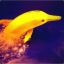 Yellow_Dolphin