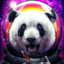 MrPanda