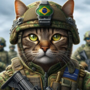 Gatinho