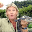 Steve Irwin Gaming