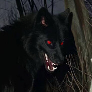 𝔅𝔢𝔩𝔦𝔫𝔥𝔞