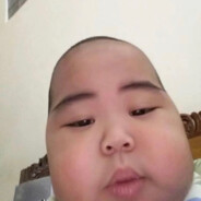 V12 twin turbo swapping my dog