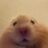 我从小不会说话