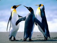freddenr1 - steam id 76561197961200183