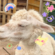 重生之宇宙无敌超人