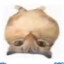 &quot;@𝓗𝓪𝓲𝓷𝓪𝓷&quot;